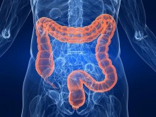human-colon